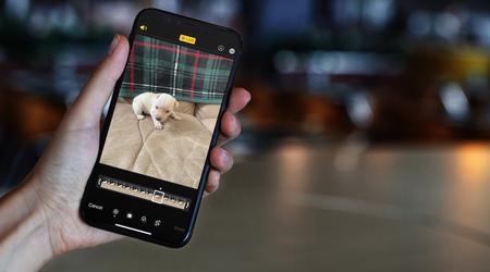 Nowe narzędzie Google umożliwia przesyłanie Live Photos z iOS na Androida