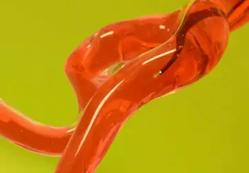 Robot robak jest testowany na MIT