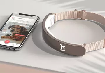 Czy psy zaczynają mówić? Startup Traini ...