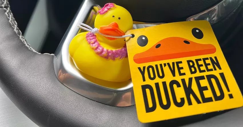 Hertz oferuje wynajem Jeepa Wranglera z gumowymi kaczkami w środku