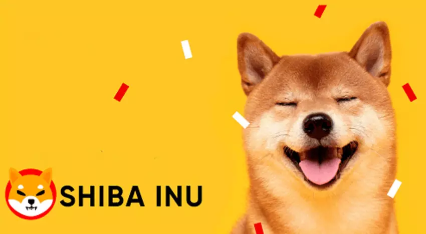 Użytkownik inwestuje 8.000$ w kryptowalutę Shiba Inu i zarabia ponad 5.000.000$