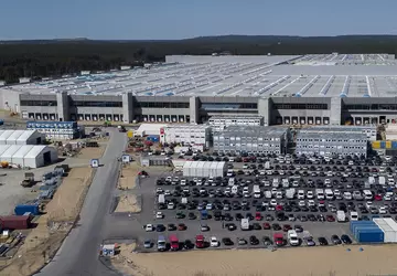 Tesla rozpoczyna pozyskiwanie drewna na rozbudowę ...