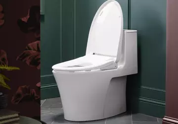 Przechodząc do sedna sprawy: deska sedesowa ...