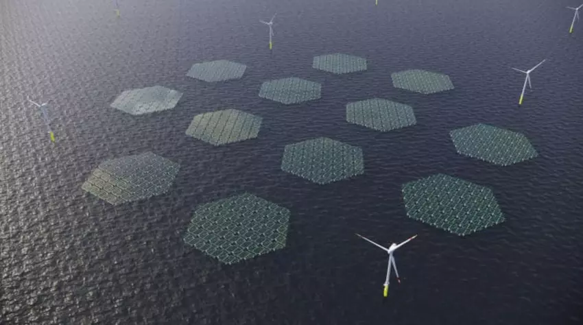 Panele słoneczne będą ślizgać się po falach „jak dywan” na Morzu Północnym