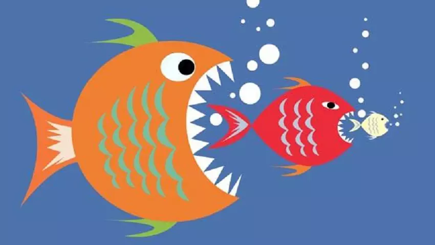 Intel rozważa kupić Broadcom