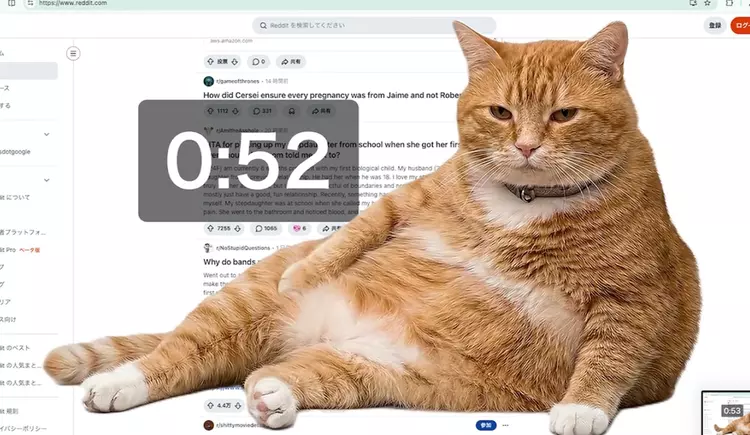 Gruby kot blokuje social media: sprytne ...