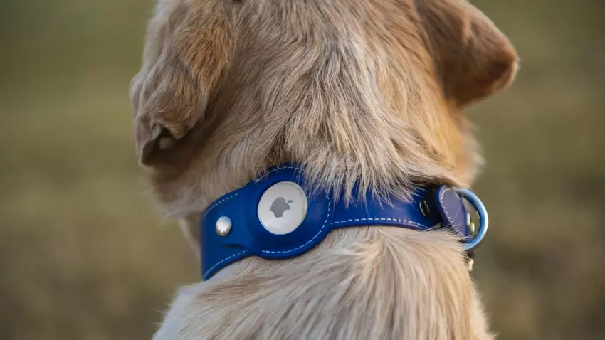 Niespodziewanie: Apple AirTag ma problem... z psami (lub psami z nimi)