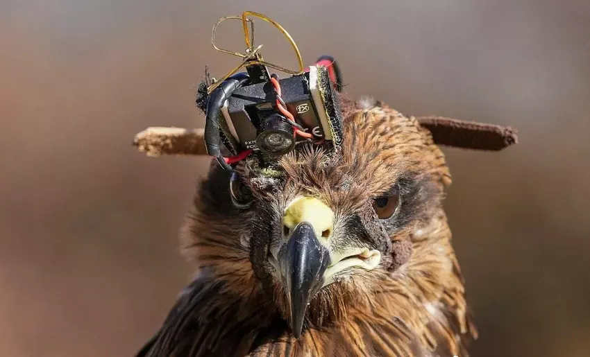 Indyjscy żołnierze wyposażają latawce w kamery z AliExpress za 40 dolarów, by walczyć z dronami i szpiegować chińskie wojsko