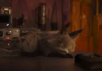 Disney opublikował 12-godzinny film przedstawiający śpiącego ...