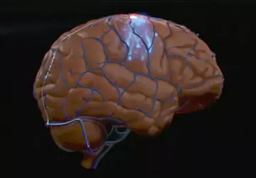 Synchron to pierwszy w Stanach Zjednoczonych, ...