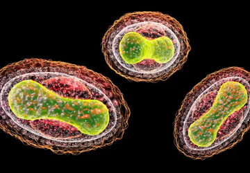Chatboty oparte na sztucznej inteligencji mogą ...