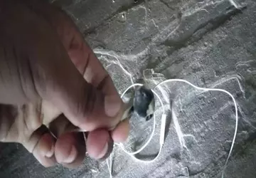 Bezprzewodowe słuchawki eksplodowały w uszach użytkownika ...