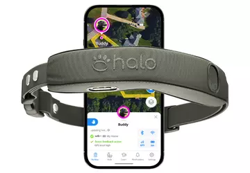Halo Collar 5: «inteligentna» obroża, która ...
