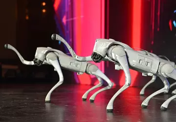 Chiny proponują wyposażyć "psy-roboty" w broń ...