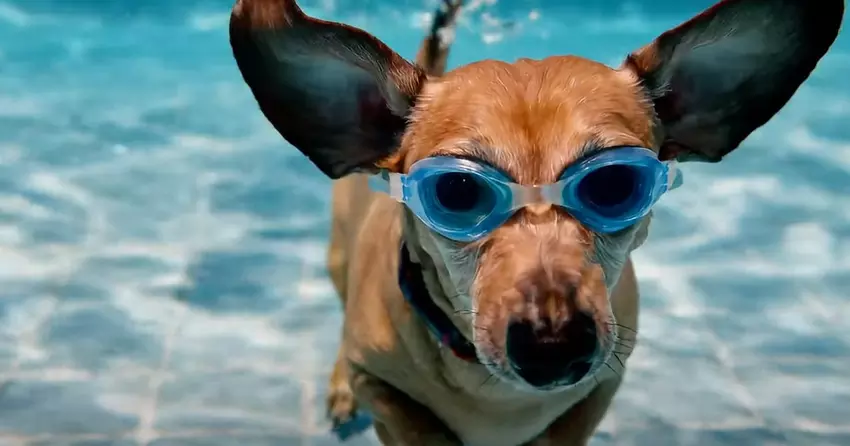 W Gemini Advanced dodano generację wideo Veo 2 — można tworzyć klipy filmowej jakości do 8 sekund