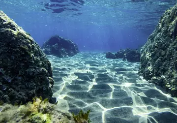 Naukowcy zmapowali prawie jedną czwartą dna ...