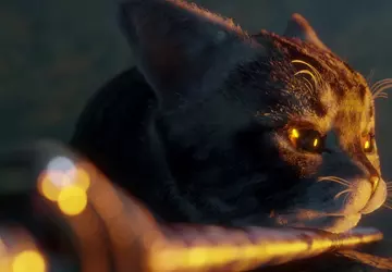 Samuraj, wojowniczy kot i mały duch ...