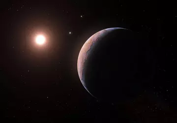 Francuski fizyk zemdlał zdjęcie kiełbasy jako ...