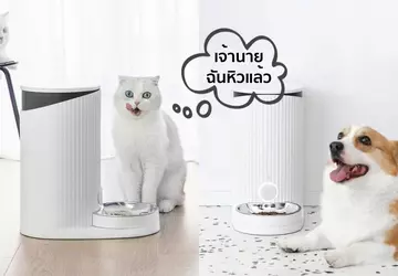 Rosjanka przypadkowo zchakowała tysiące karmników dla ...