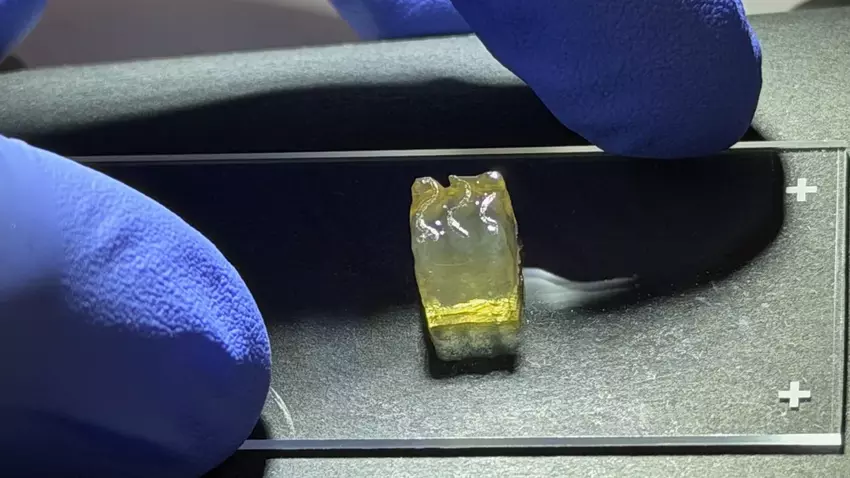 Ilustracja: Auxilium Biotechnologies drukuje tkanki nerek i wątroby na ISS