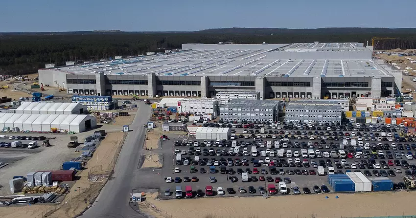 Tesla rozpoczyna pozyskiwanie drewna na rozbudowę zakładu w Berlinie