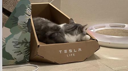 Wygląda na to, że Tesla ukradła projekt leżanki dla kota w stylu "Cybertruck" tajwańskiej firmie