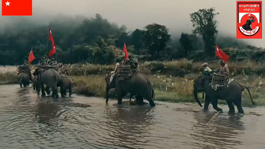 Siły opozycyjne w Mjanmie wykorzystują słonie do walki z juntą