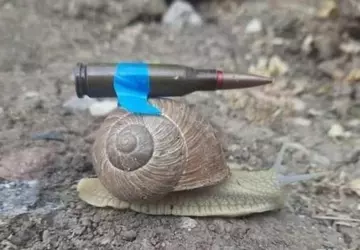 Niemcy zaoferują Ukrainie 20 czołgów Leopard ...