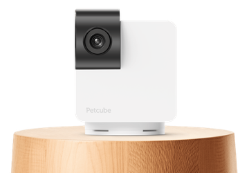 Petcube Cam 360: kamera dla zwierząt ...