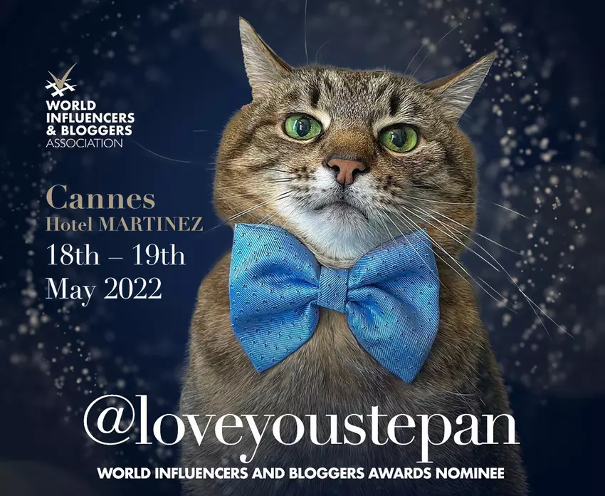 Cat Stepan może zostać najbardziej wpływowym blogerem 2022 roku