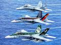 post_big/FA-18-Hornet-RAAF.jpg