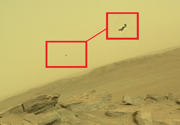 Latające mrówki i UFO na Marsie ...