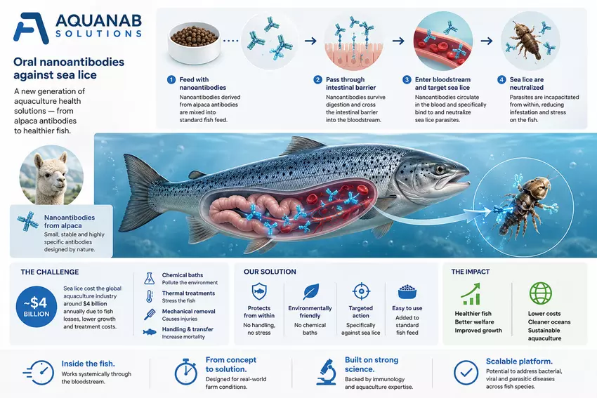 Ilustracja z laboratorium AquaNab