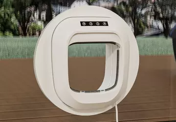 Flappie: drzwiczki, które nie otwierają się, ...