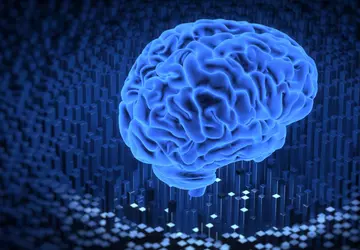 Cortical Labs stworzyło ludzki "mini mózg" ...