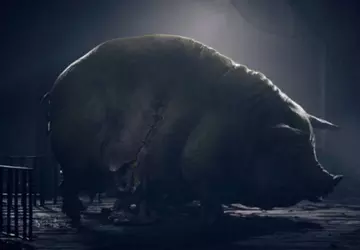 Zainteresowanie Reanimal jest ogromne: ponad 1 ...