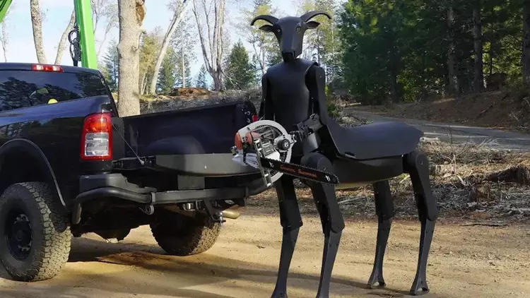 Dwumetrowy robot-kentaur Threehalves: nowa era technologii ...