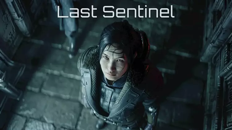 Ambitny projekt Last Sentinel upadł: Miliony ...