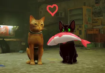 Autor gier o kotach zorganizował uroczy ...