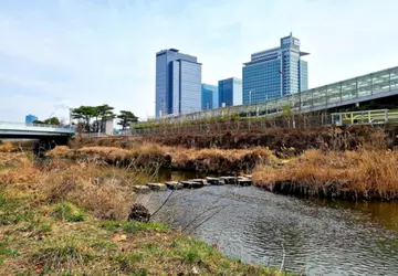 Jak Samsung świętuje „Światowy Dzień Wody” ...