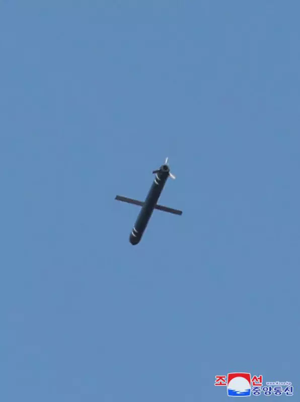 Pocisk rakietowy Pulhwasal-3-31. Ilustracja: KNCA