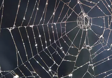 Piąte lotnisko i baza morska z ...