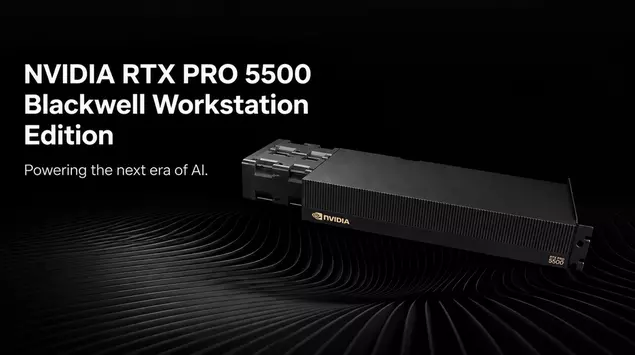 Nvidia RTX PRO 5500: 84 GB ...