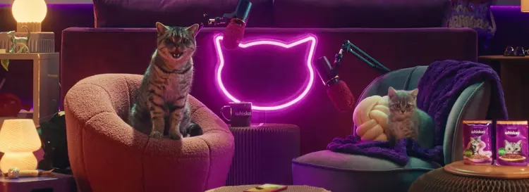 Whiskas uruchomił podcast Purrcast: rozmawiają w ...