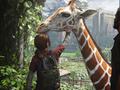 post_big/last-of-us-part-1-giraffe-1024x576.jpg