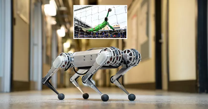 Pies-robot Mini Cheetah staje się bramkarzem piłkarskim - broni bramki skuteczniej niż bramkarze EPL