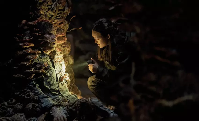 Drugi sezon The Last of Us stał się ofiarą "review bombing": widzowie rozczarowani, ale krytycy zachwyceni