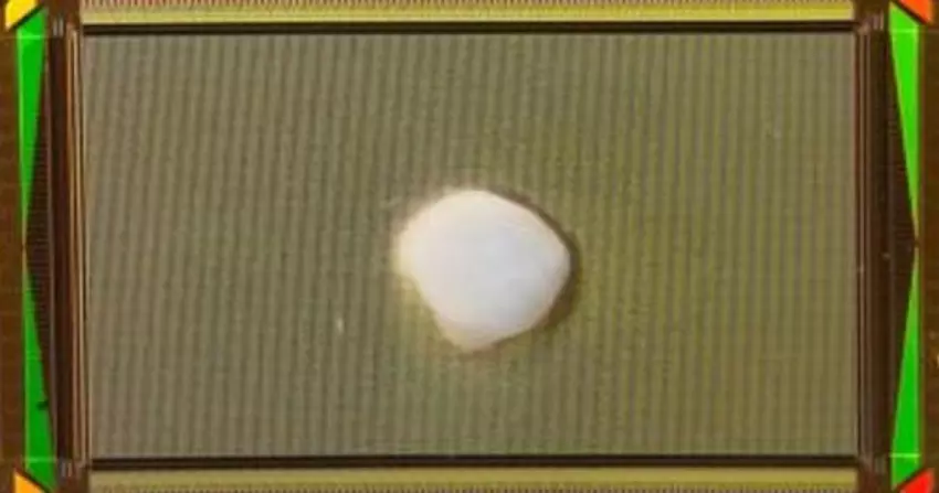 Naukowcy wyhodowali ludzki mózg, podłączyli go do komputera i nauczyli rozwiązywać równania