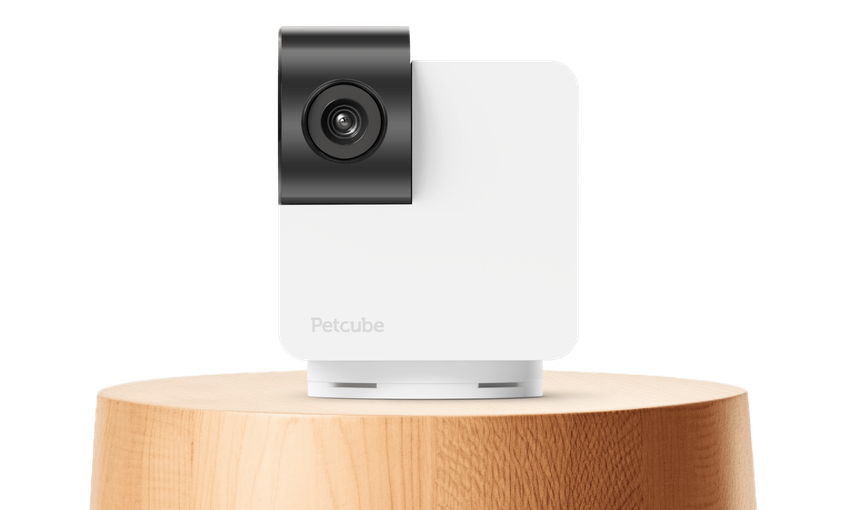 Petcube Cam 360: kamera dla zwierząt z funkcją obrotu o 360°, trybem nocnym i dwukierunkową komunikacją