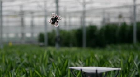 Holenderscy inżynierowie chcą tępić owady w szklarniach za pomocą dronów, kamer IR i sztucznej inteligencji